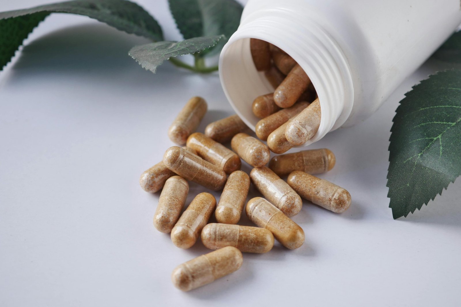 oral steroids