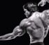 Arnold Schwarzenegger
